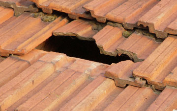 roof repair Higher Durston, Somerset